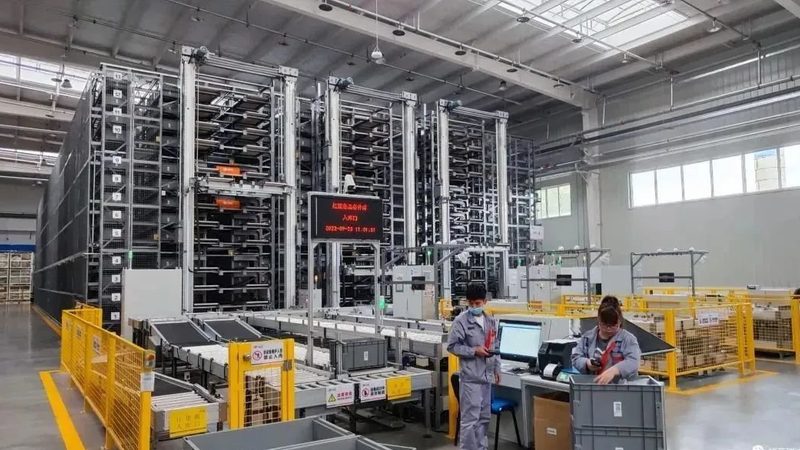 塑料托盘与木托盘：一场仓储物流的材质较量